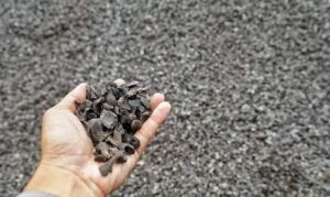 cangkang kelapa sawit