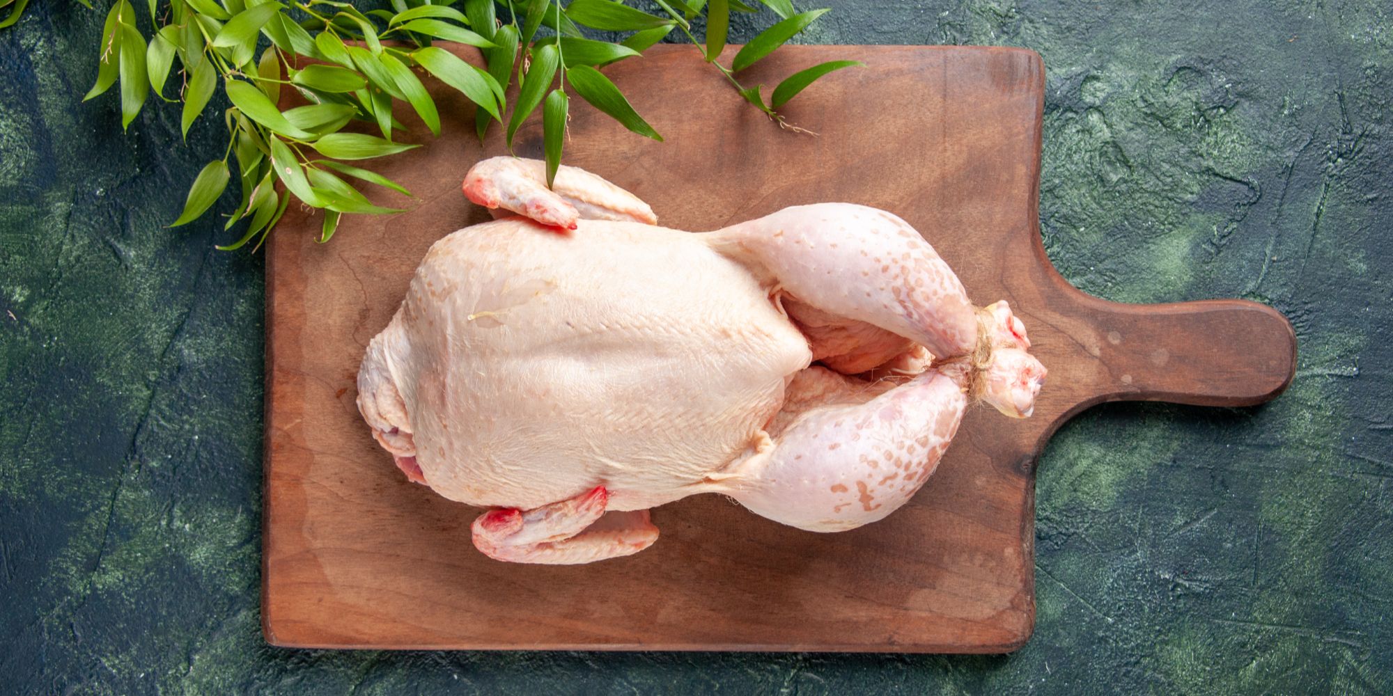 Pembersihan Bulu Ayam Higienis