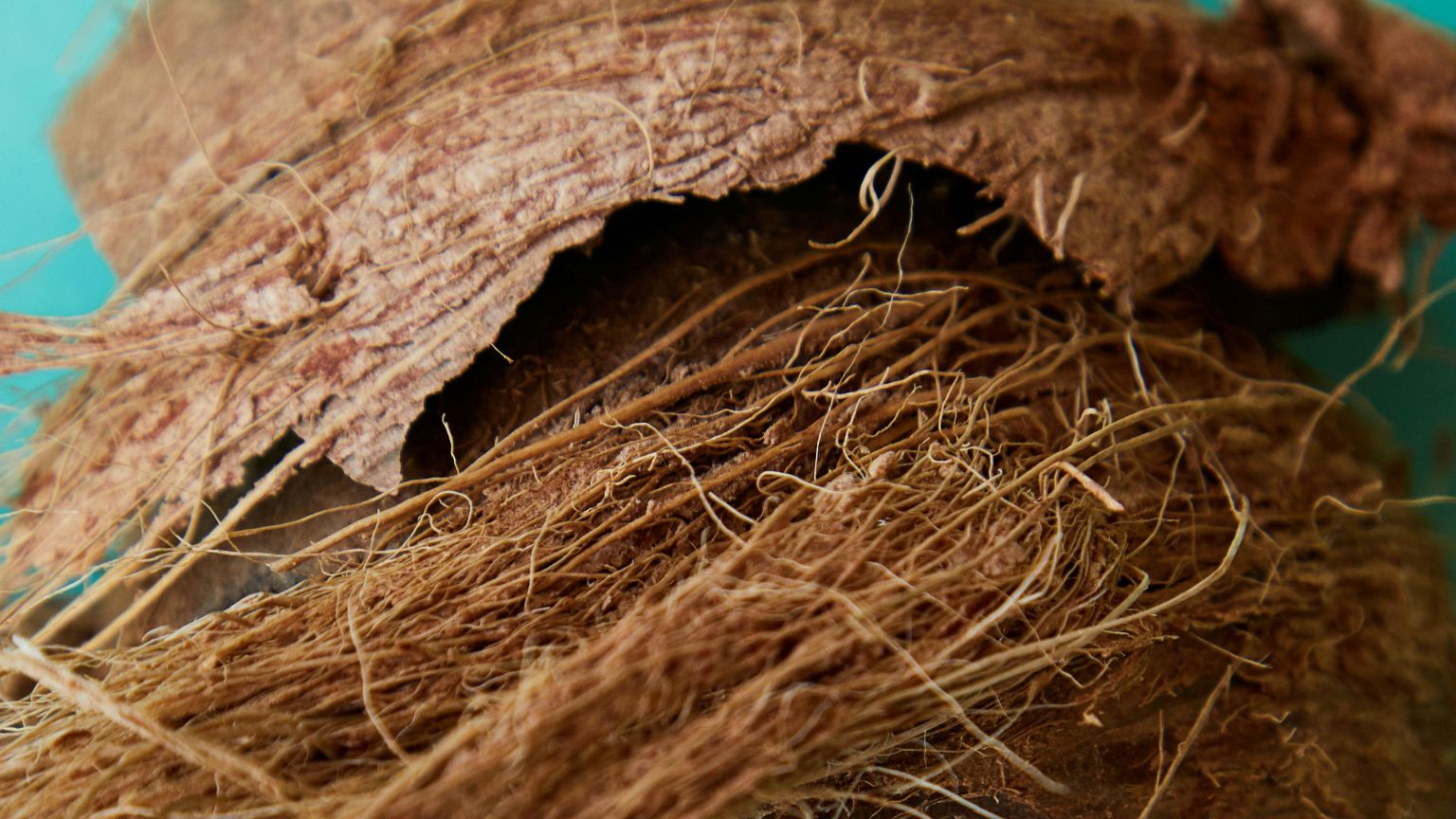 Teknologi Ekotekstil Alami dari Sabut Kelapa