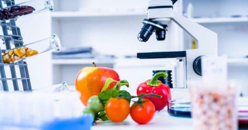 Penerapan Teknologi Pengolahan Pangan untuk Efisiensi Dapur Modern