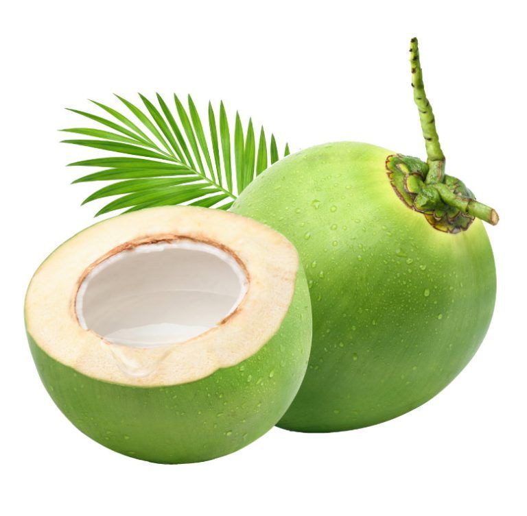 Manfaat Kelapa untuk Tubuh untuk Hidup Lebih Sehat