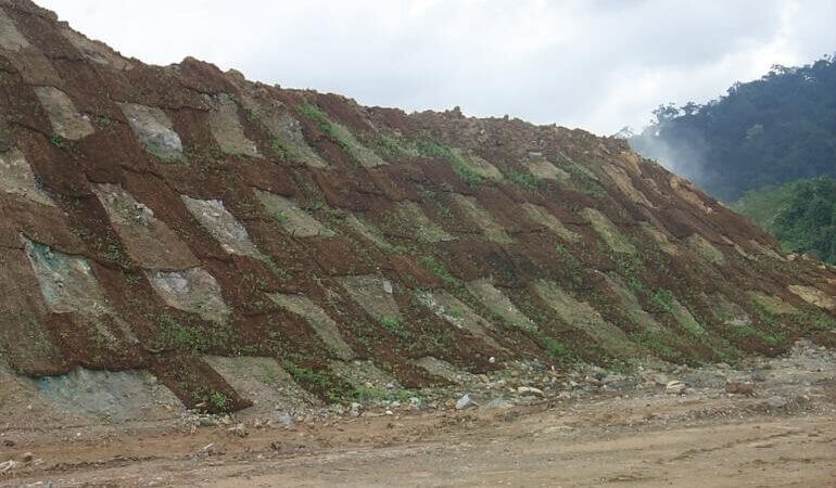 Pengembangan Kewirausahaan Hijau dengan Produk Cocomesh