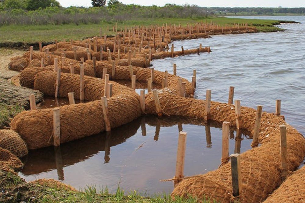 Manfaat Ekologis Cocomesh yang Jarang Diketahui