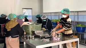 Keberterimaan Sistem Dapur MBG Akseptabilitas Produksi