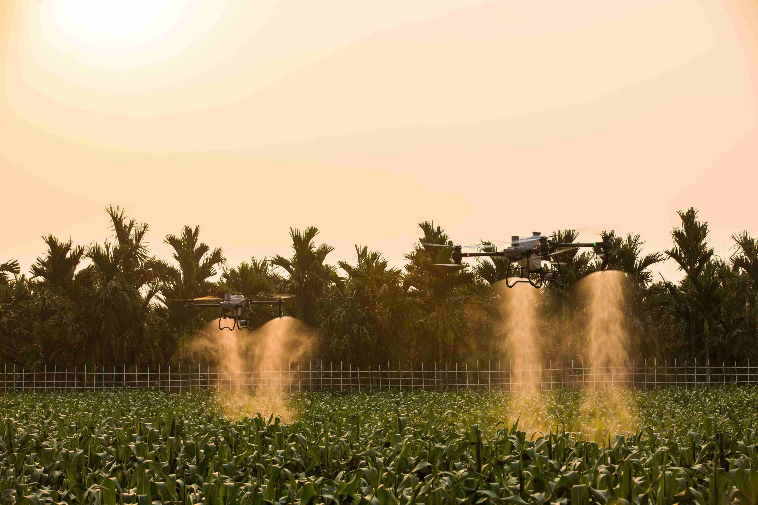 Keunggulan Drone Penyemprot Tanaman untuk Pertanian Modern