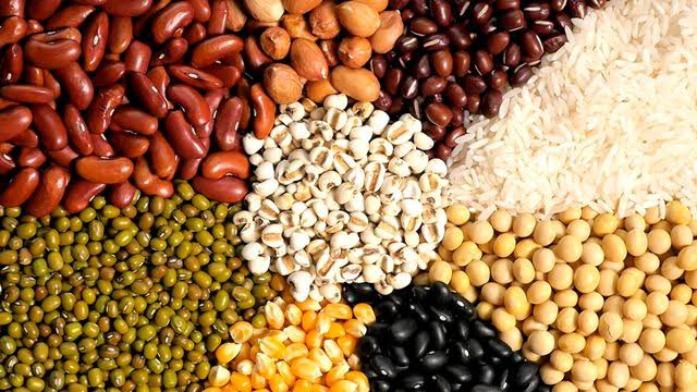 Mesin Pengering Biji-Bijian untuk Mempercepat Proses Pascapanen