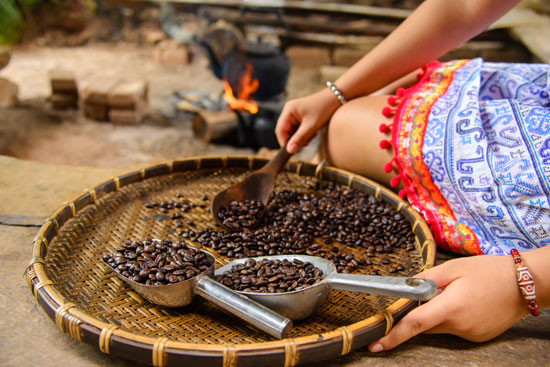 Tips Menjaga Biji Kopi Utuh agar Tetap Berkualitas