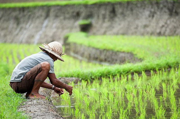 Keuntungan Bisnis Jual Beli Alat Pertanian untuk Peluang Usaha